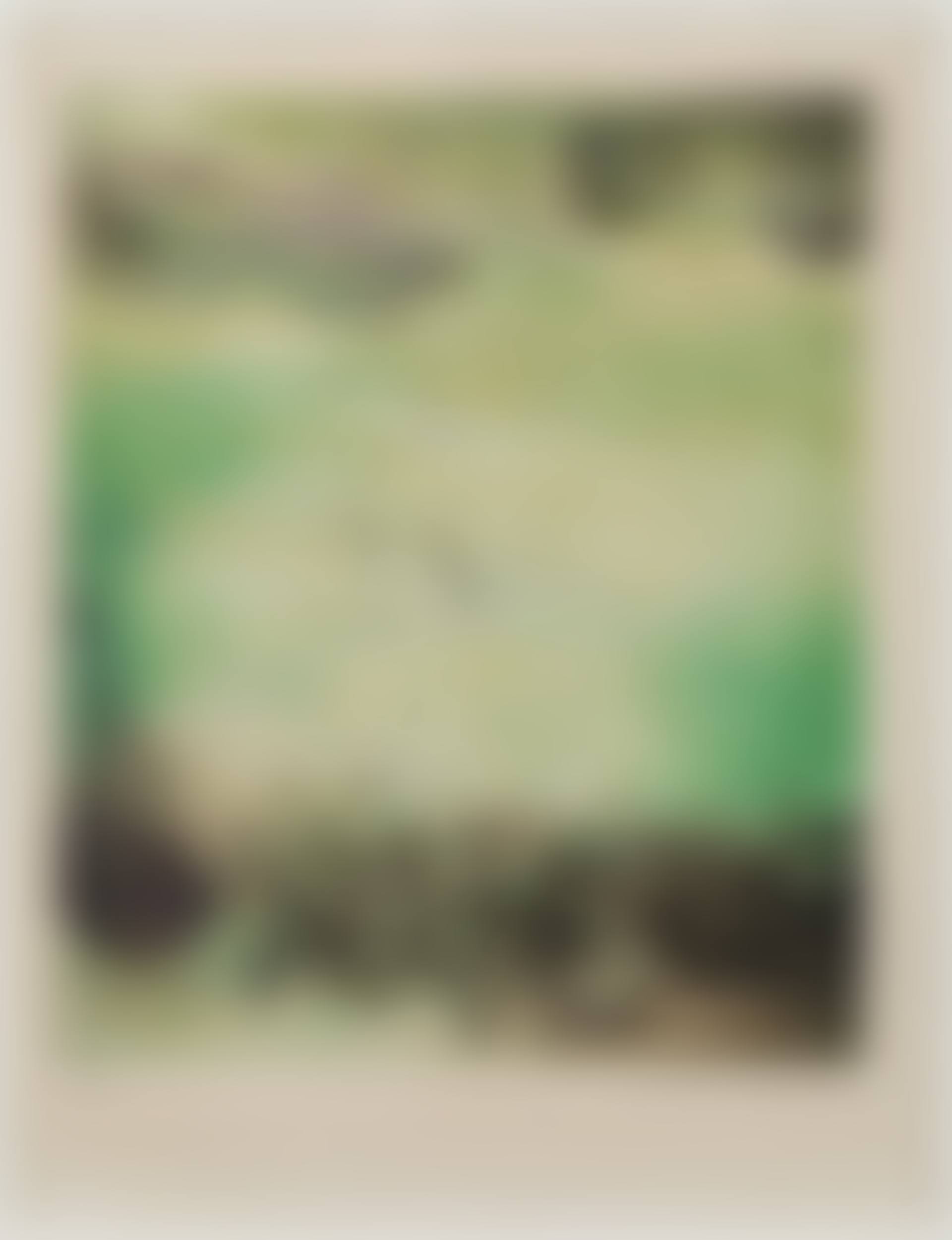 Abstraction, from the series "Canto Pisan" (preview)
