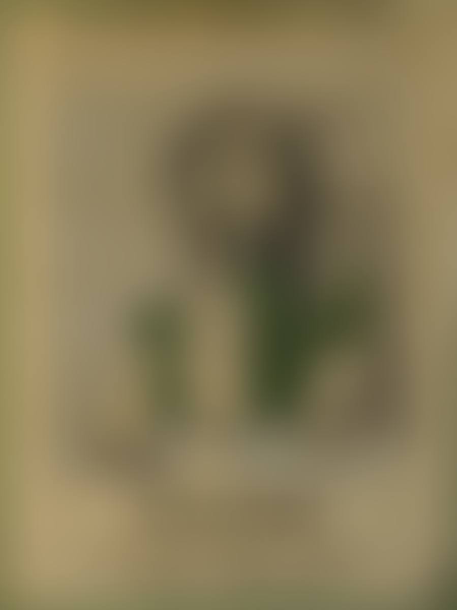Exhibition poster (preview)