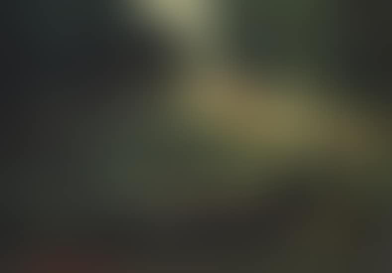 Lively landscape (preview)