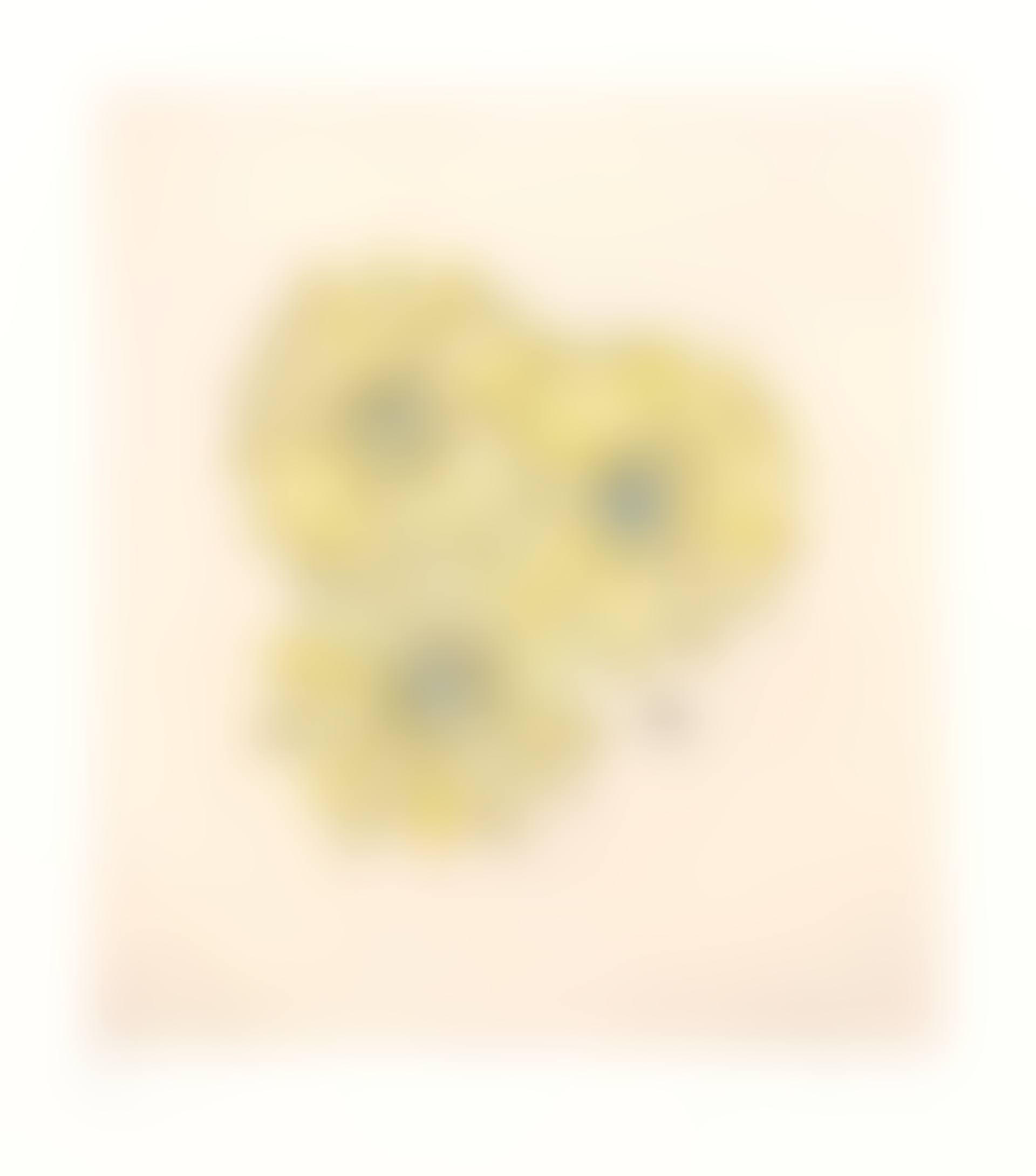 One plate, from Flower with Bee (preview)