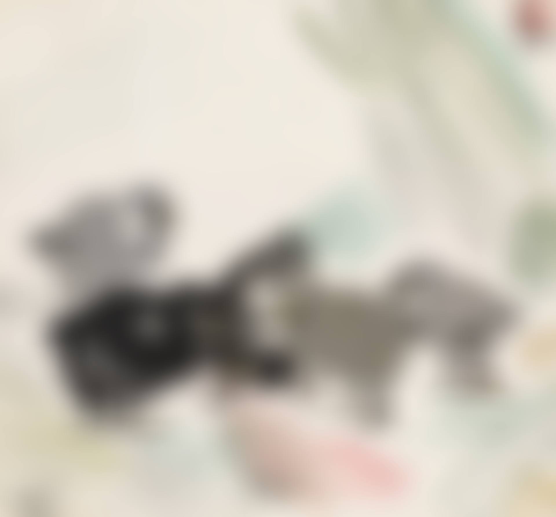 CHICKS (preview)