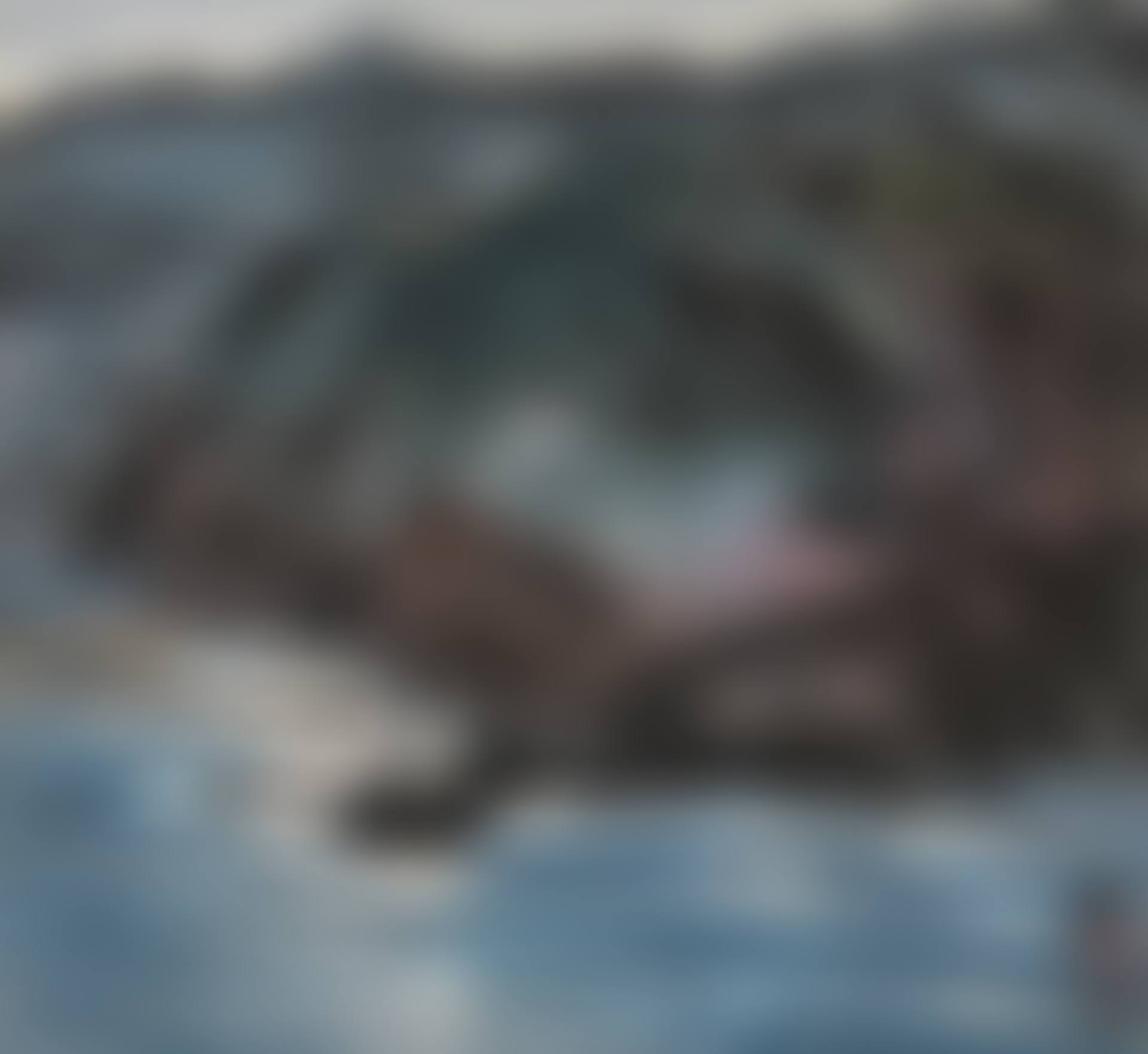 STROLLING BY THE LAKE (preview)