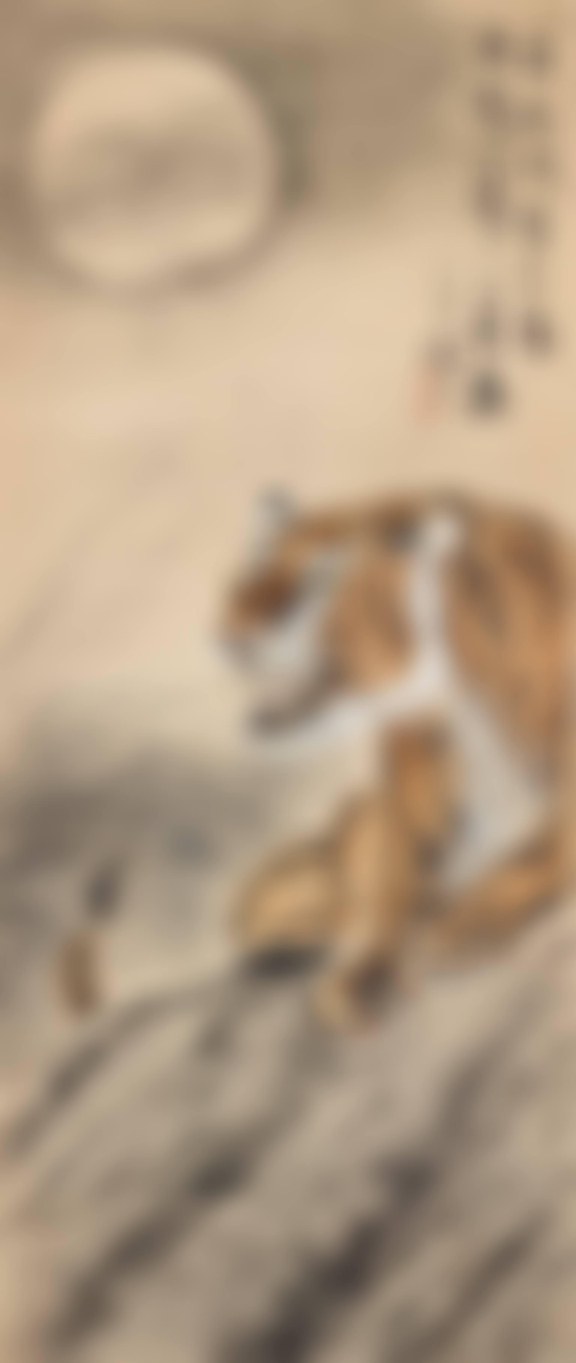 ROARING TIGER IN THE MOONLIGHT (preview)