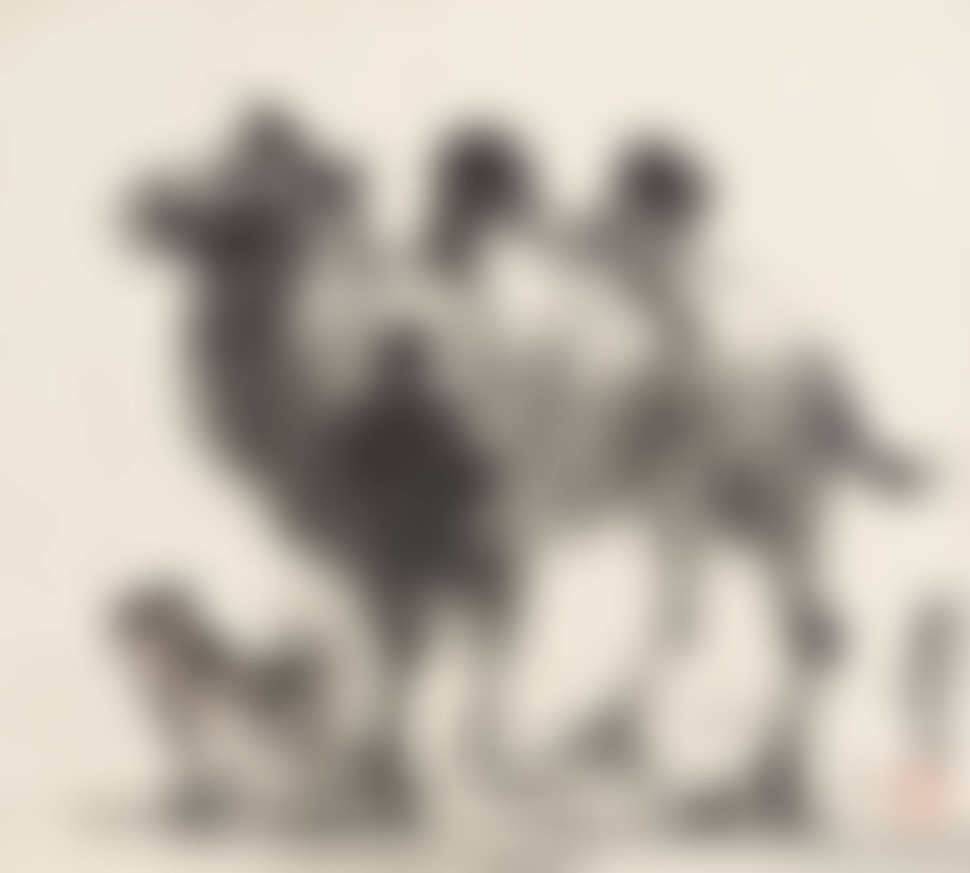 CAMELS (preview)