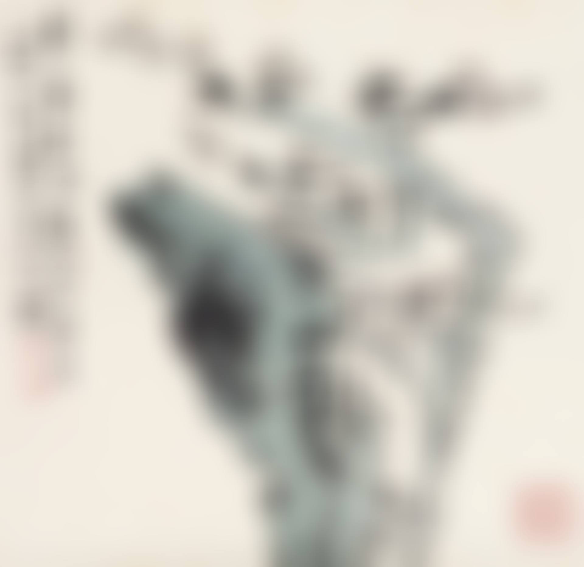 PLUM BLOSSOM AND ROCK (preview)
