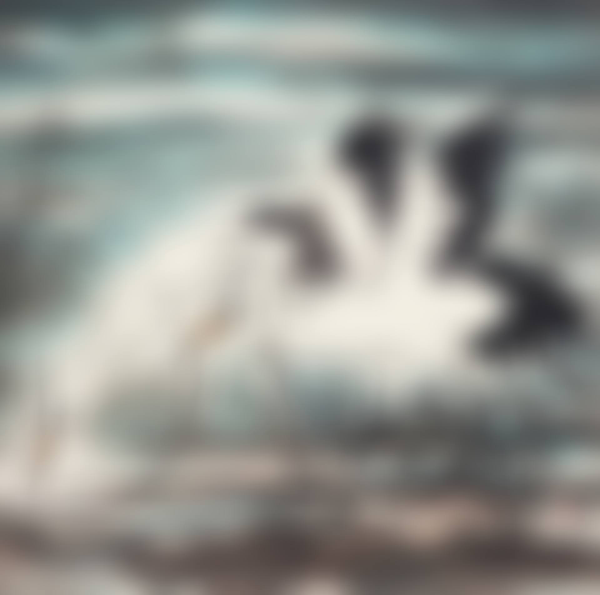 TWO EGRETS (preview)