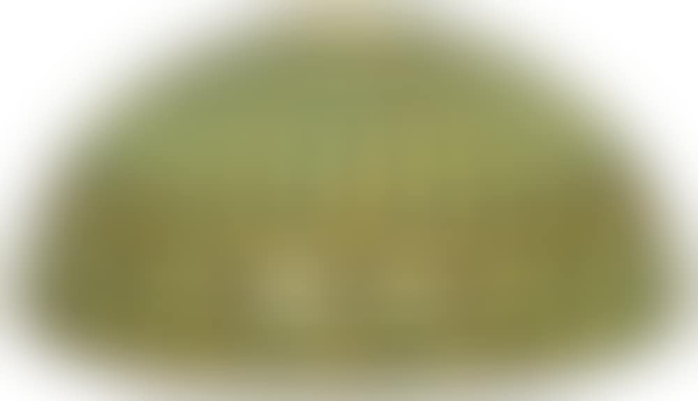 lamp shade (preview)