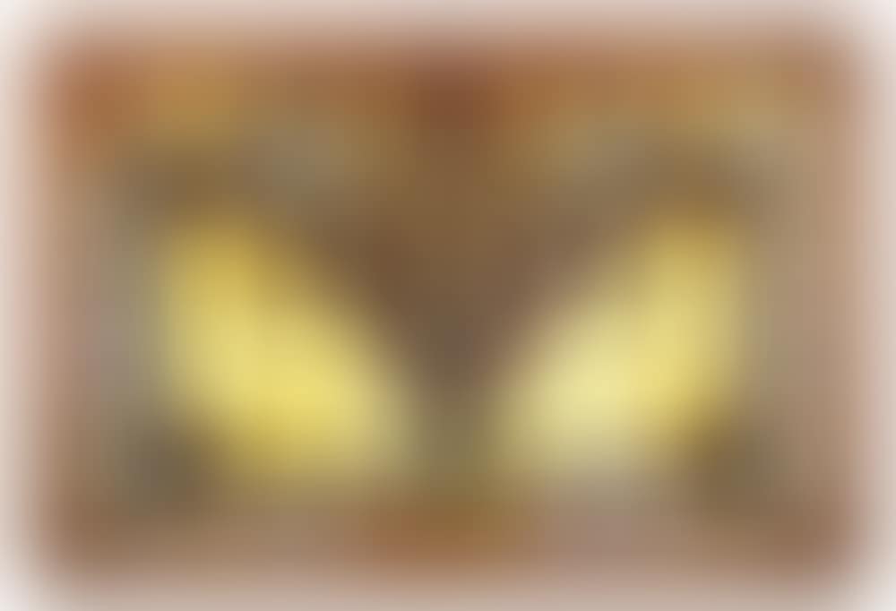 American Jeweled & Leaded Glass Window (preview)