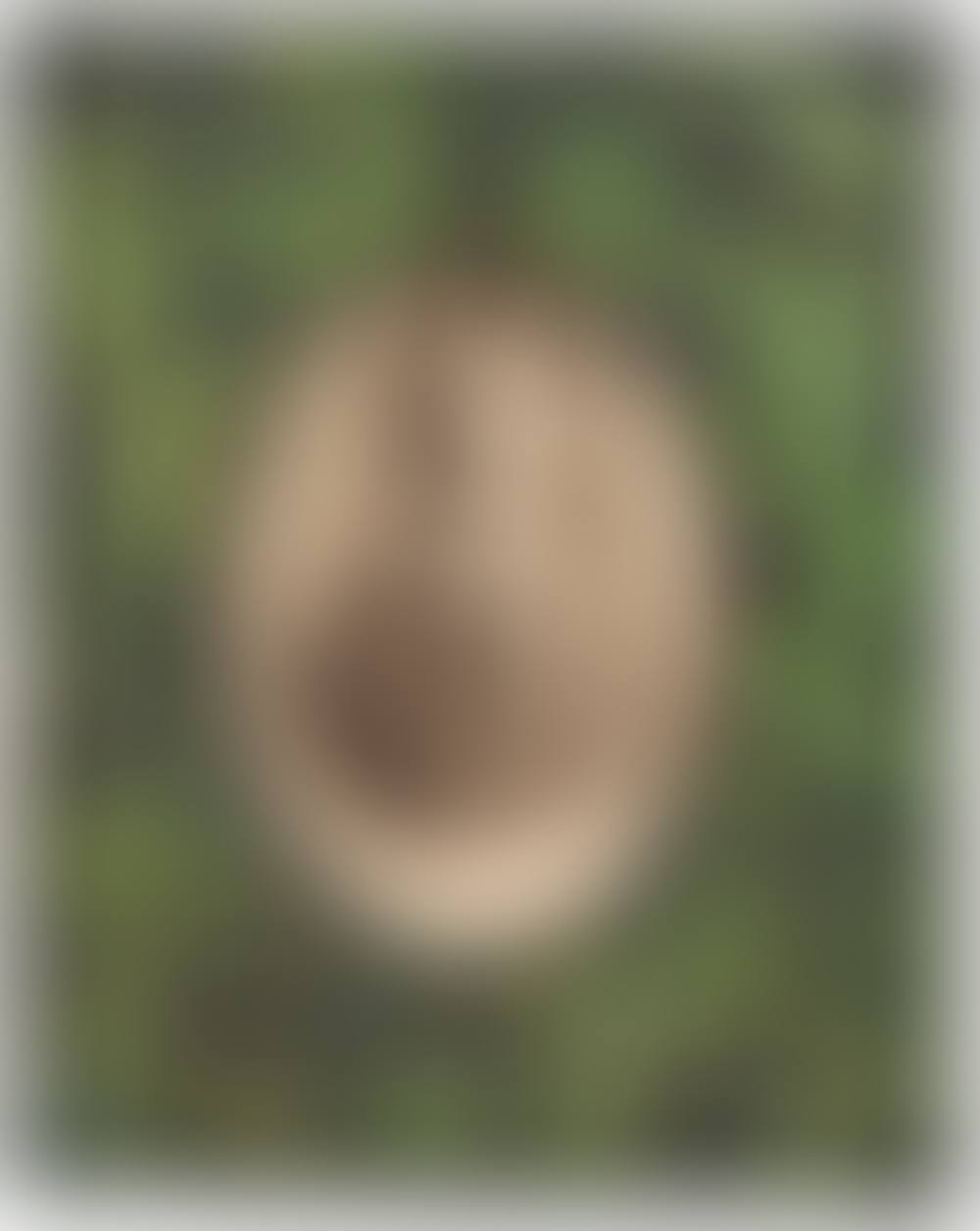 Grapevine (preview)