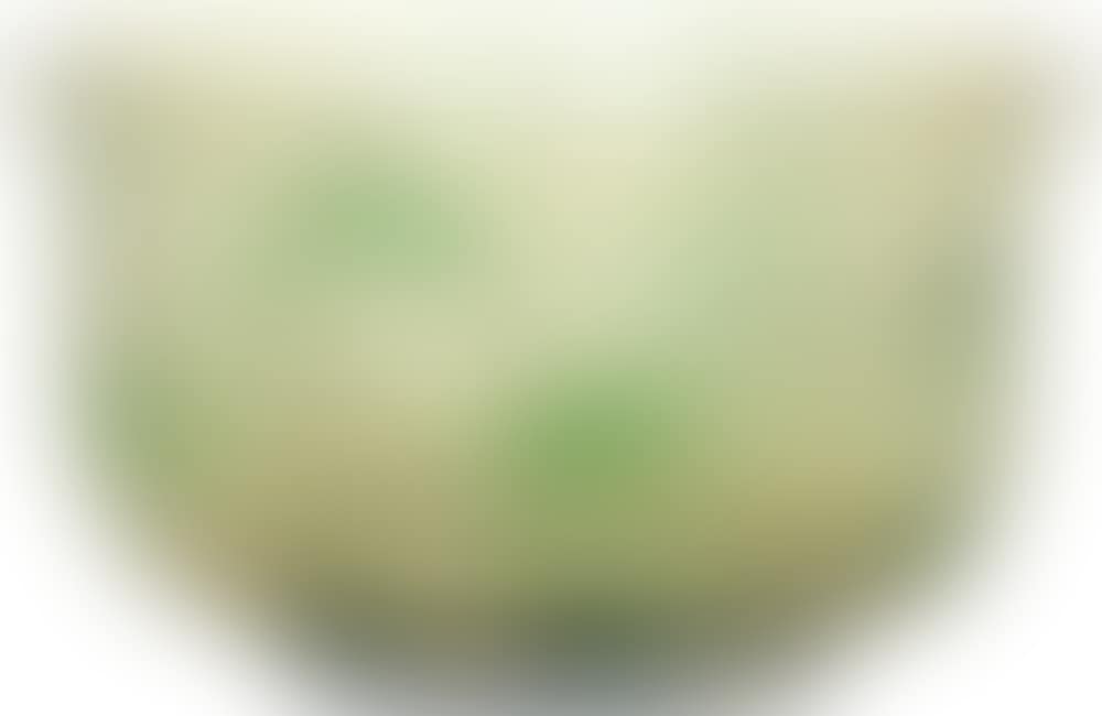 Bowl (preview)