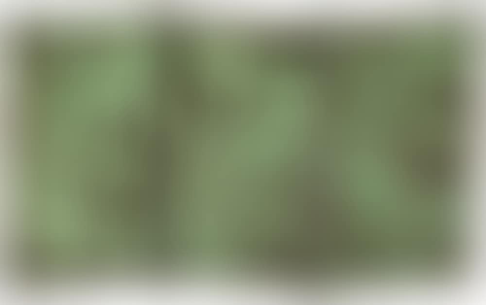 Grapevine (preview)