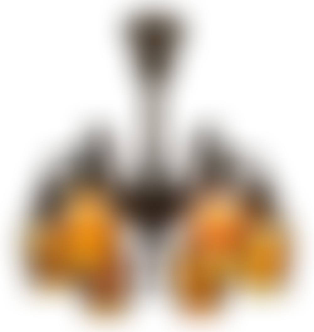 Six-Light "Tulip" Chandelier (preview)