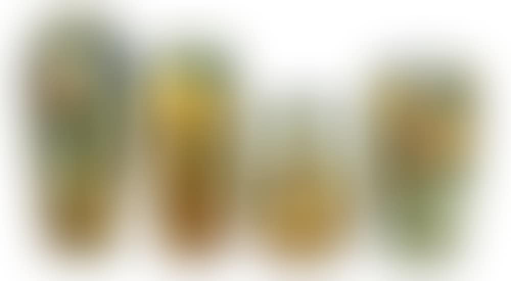 Four "Glendale" Vases (preview)