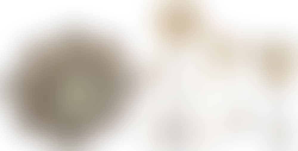 Bowl (preview)