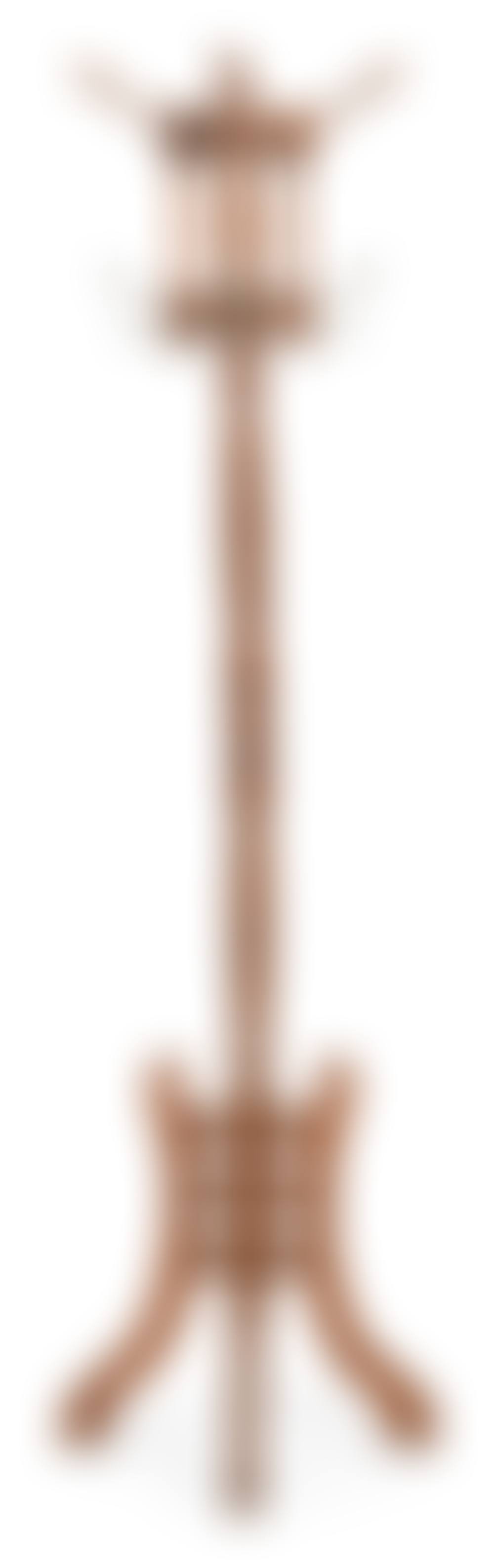 American Carved Oak Coat Rack (preview)