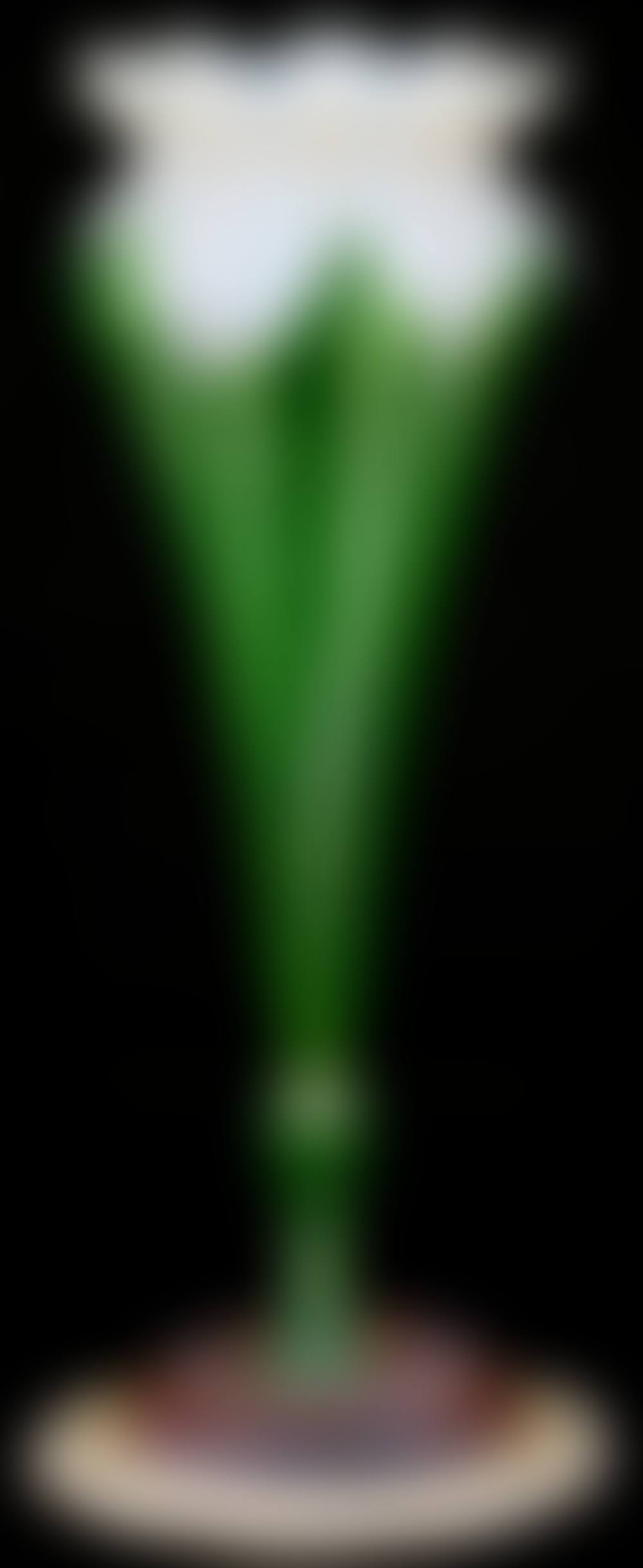 Favrile glass floriform vase (preview)