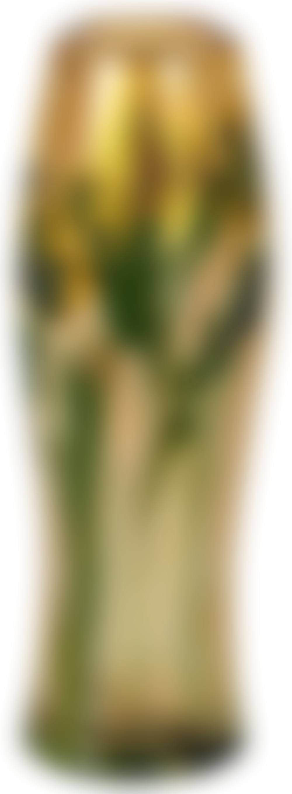 Black-Eyed Susan Paperweight Vase. (preview)