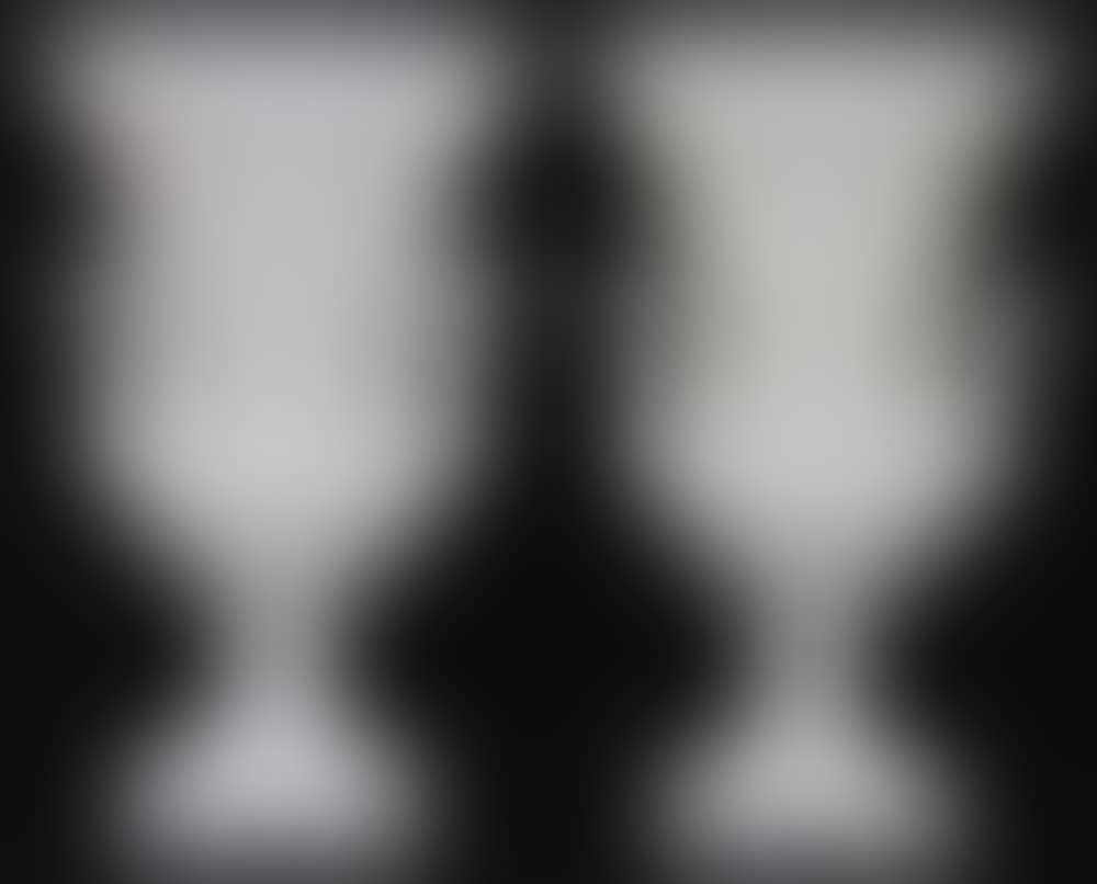 Two-handled urns (preview)