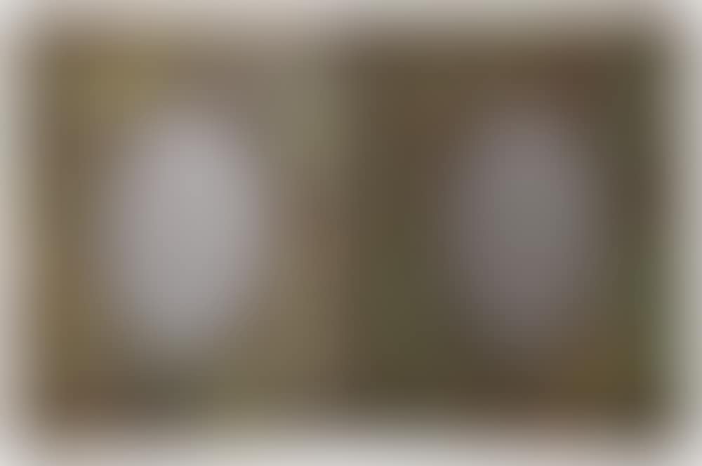 "Grapevine" Double Picture Frame (preview)