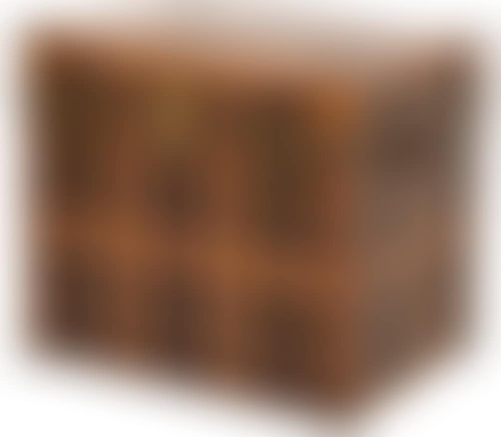 American Leather & Canvas Steamer Trunk (preview)