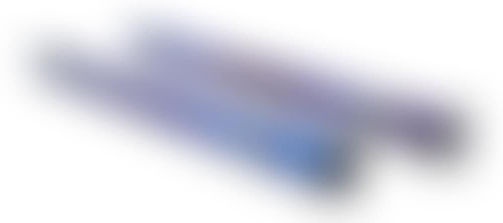 Two Vase Inserts (preview)