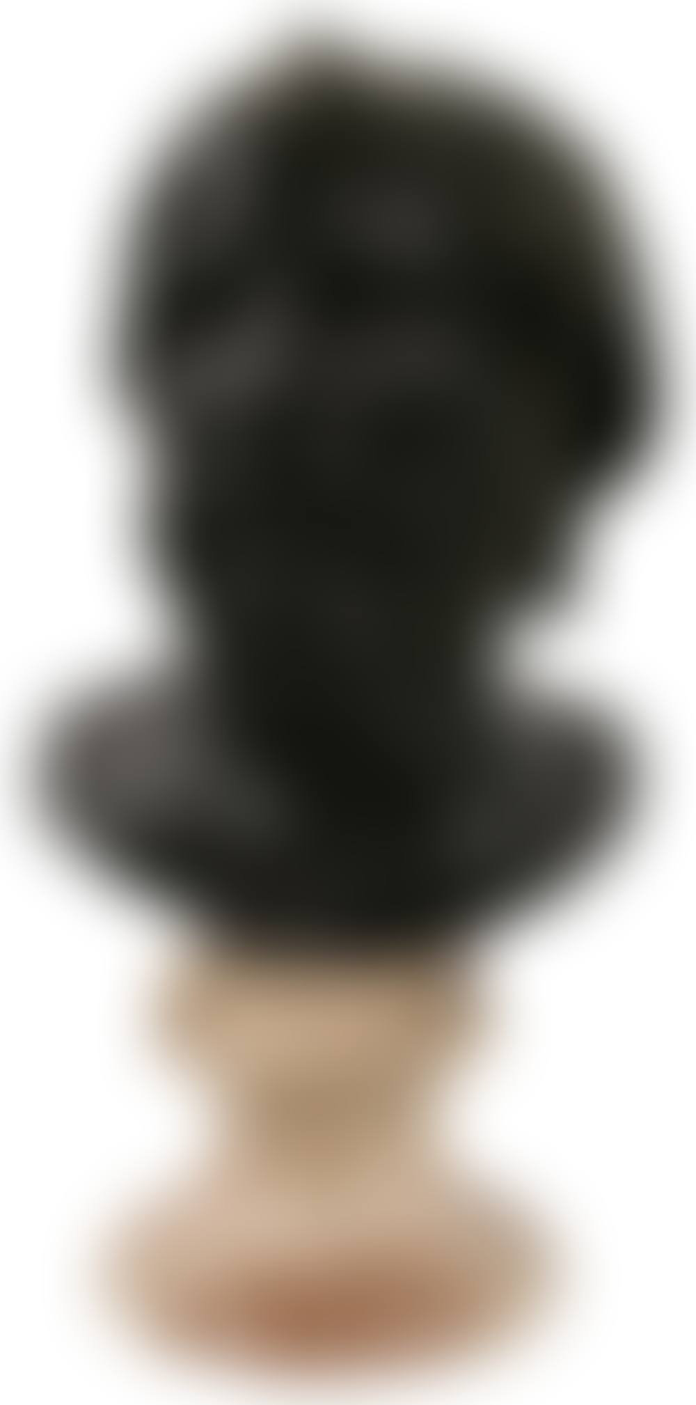 Italian Bronze Bust of Lucius Annaeus Seneca (preview)