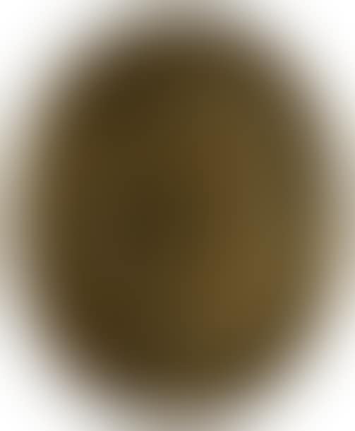 Guard or private post plate of the Château de Chenas (preview)