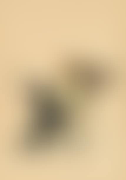 Pair of pack dogs (preview)