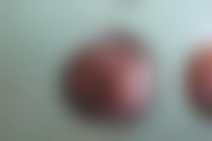 O R the Puree (preview)