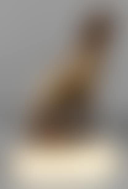 Sitting dog (preview)