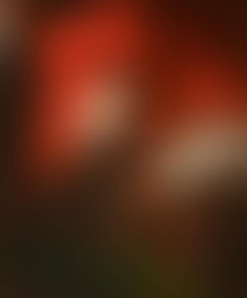 Judith and Holofernes (preview)