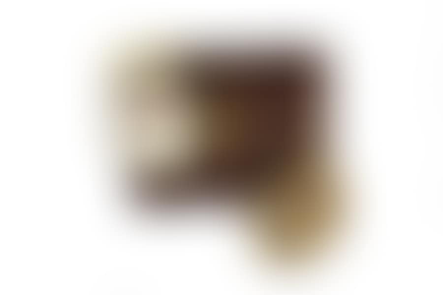 Bust portrait of Delphine Jourdan, daughter of the Marshal, who will marry General Baron Jean Joseph Pougeard du Limbert (1786 - 1848) (preview)