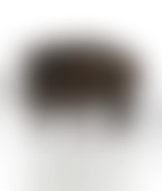 Wild boar (preview)