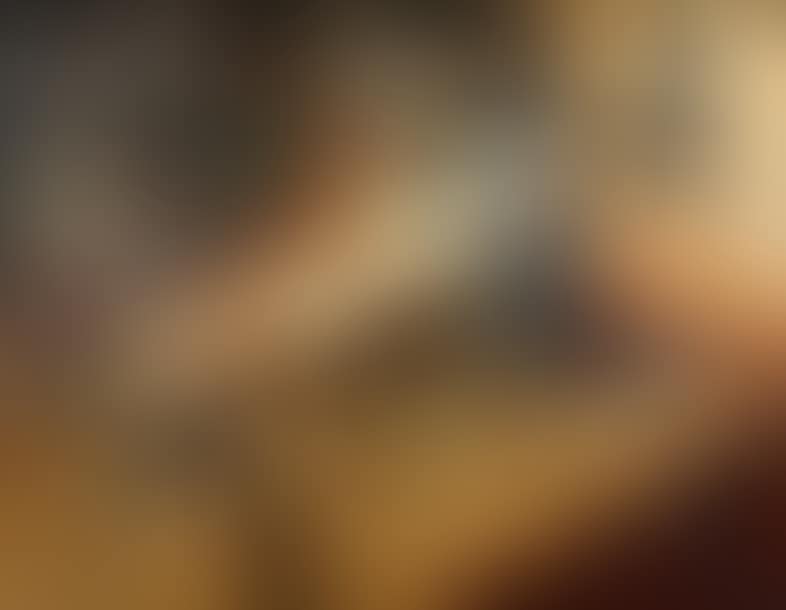 Still life with hare (preview)