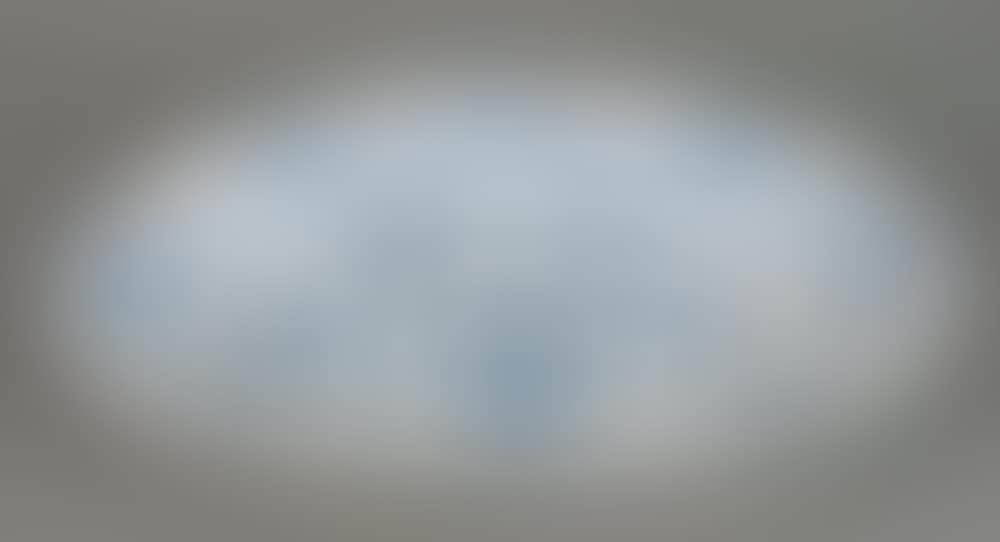 large porcelain plate with blue decorations (preview)