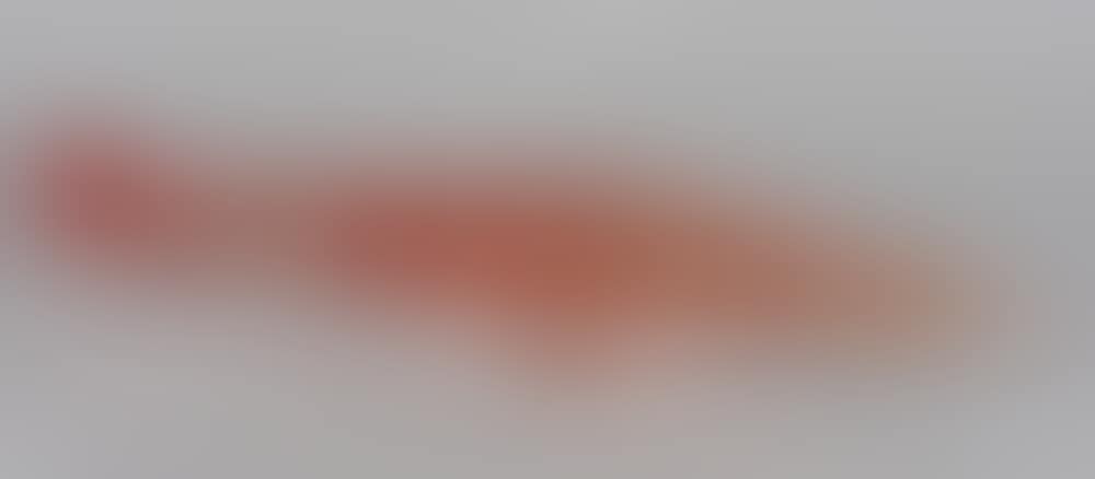 Large fish (preview)