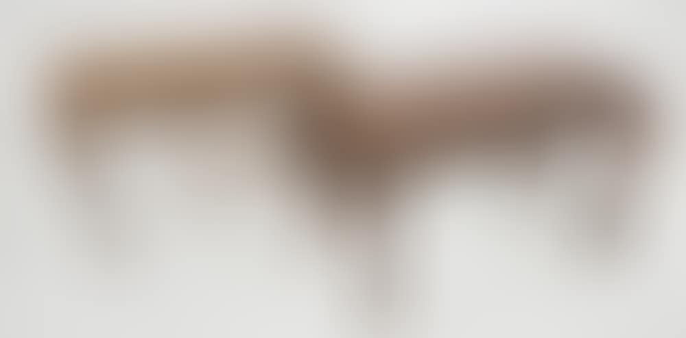 Pair of low wooden tables (preview)