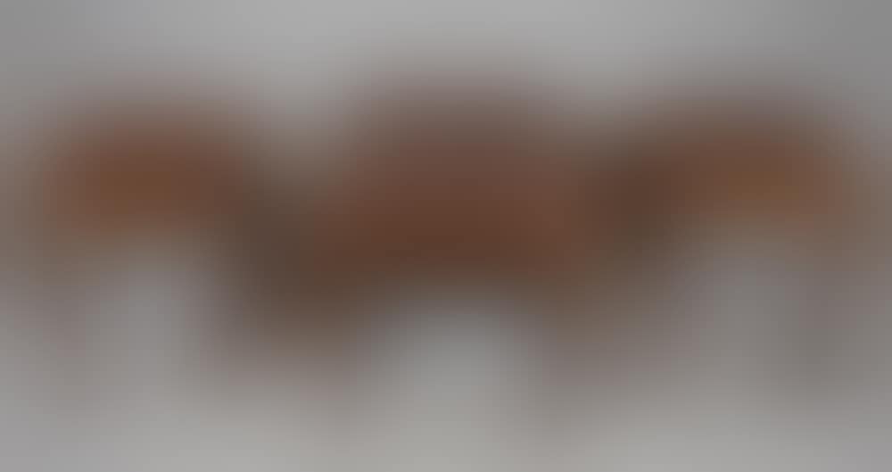 Low wooden tables (preview)