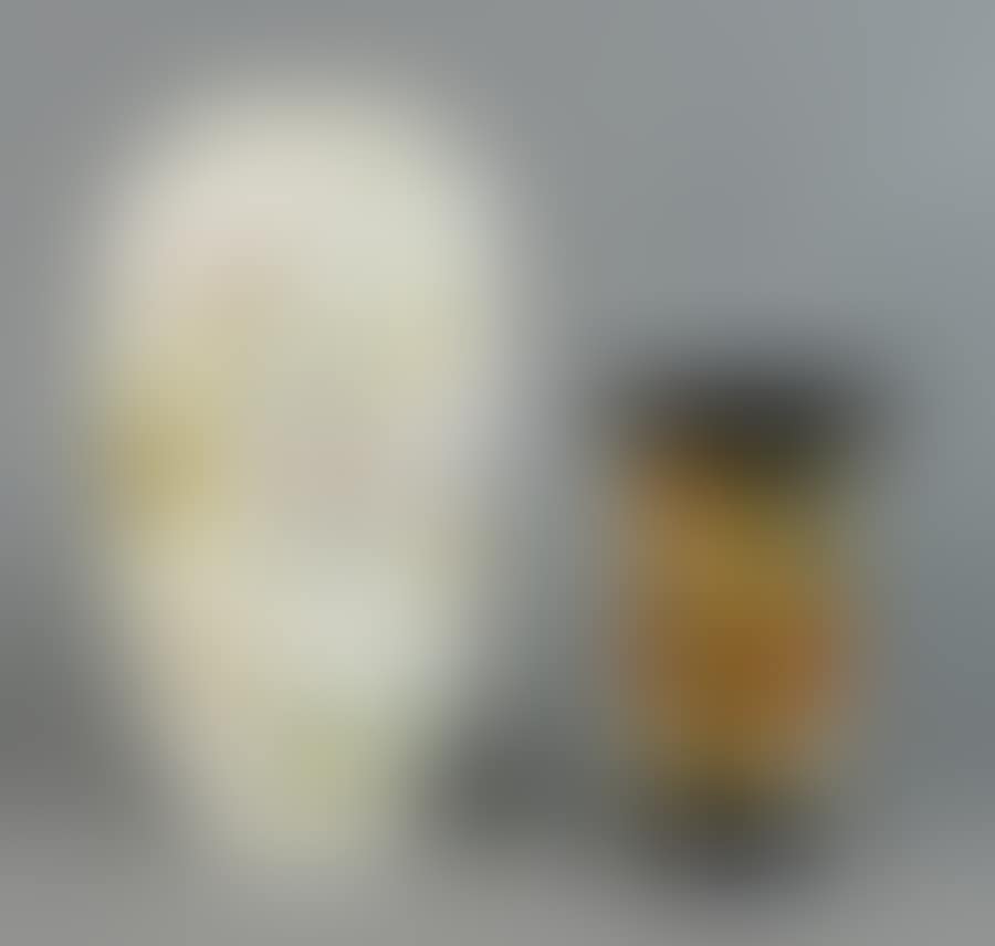 2 vases (preview)