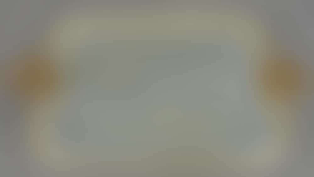 Rectangular tray (preview)