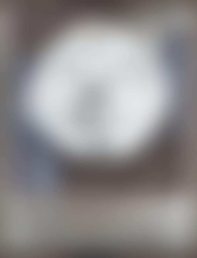 "La fecundidad" (preview)
