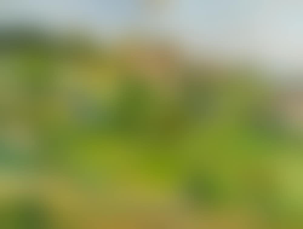 "Landscape with houses" (preview)