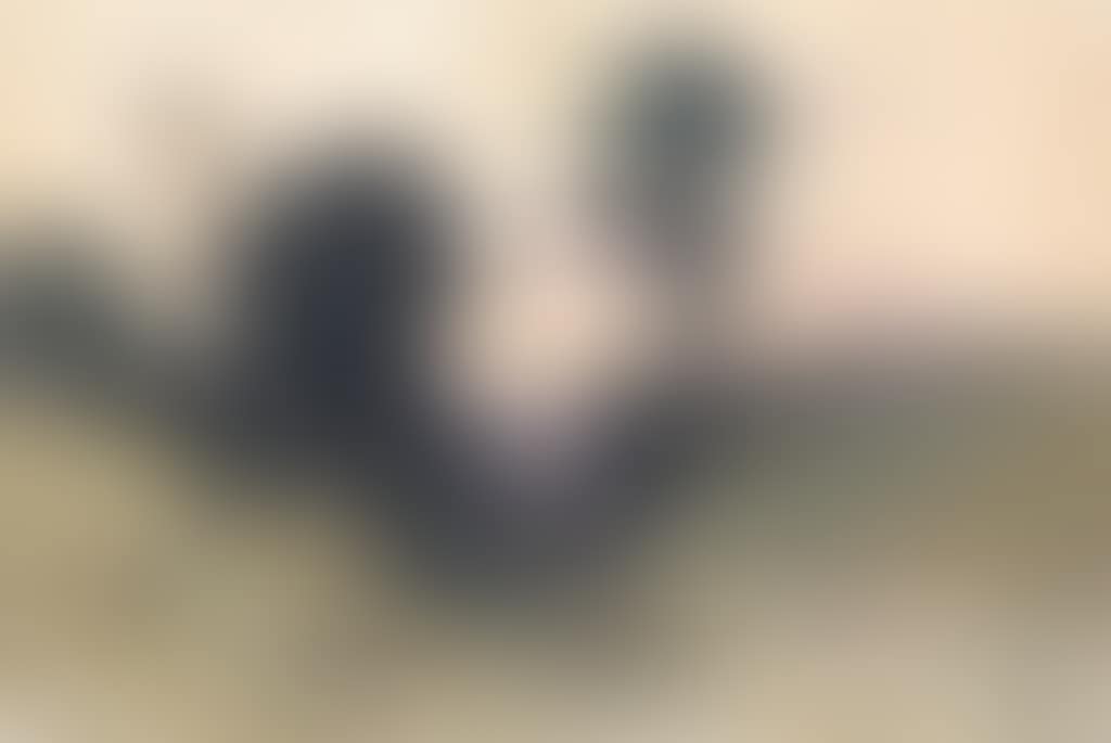 Paysage (preview)