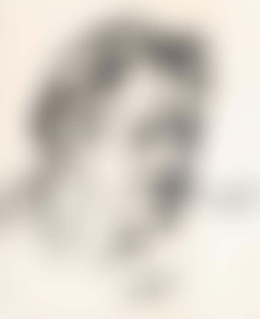 Self-Portrait (preview)