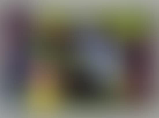 Untitled (preview)