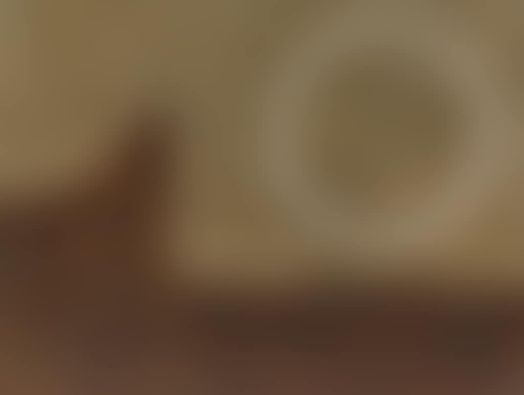 Reloj sin Tiempo (preview)