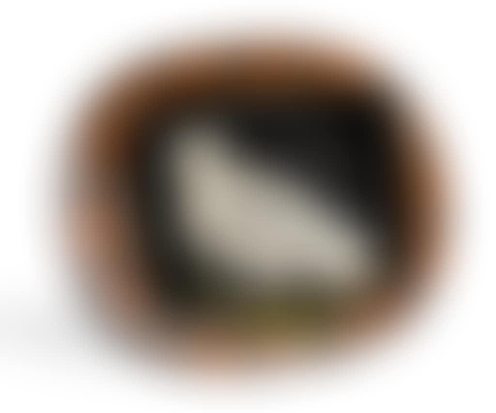 Mat Dove (preview)