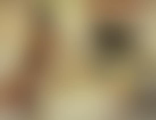 Tanfastic (preview)