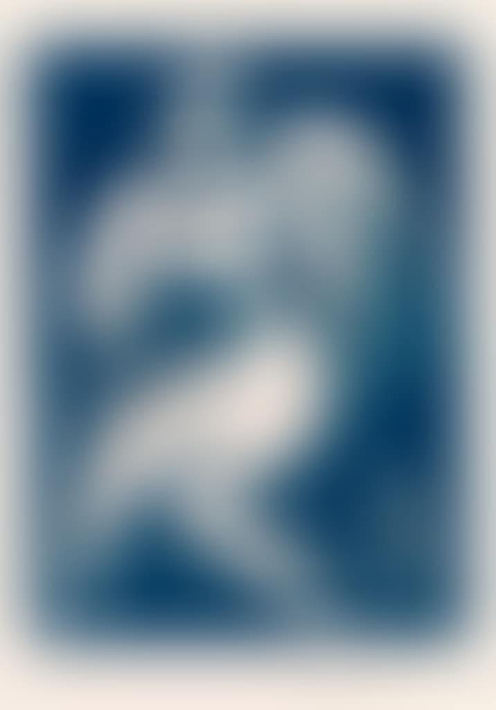 Coquette (preview)