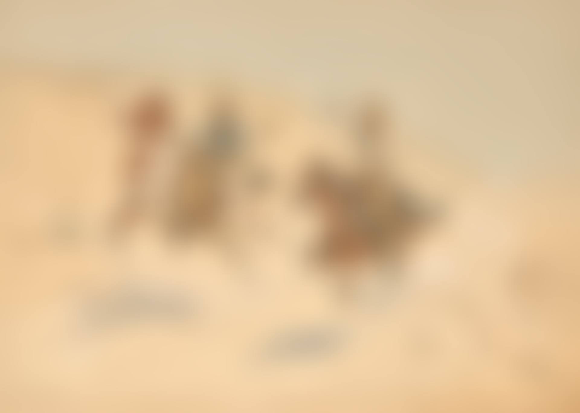 Cowboys (preview)